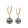 Tahitian Pearl Leverback Dangle Earrings in Yellow Gold