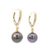 Tahitian Pearl Leverback Dangle Earrings in Yellow Gold