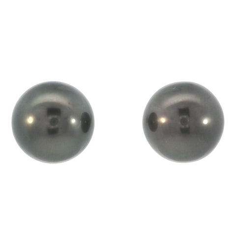 Tahitian Pearl Stud Earrings