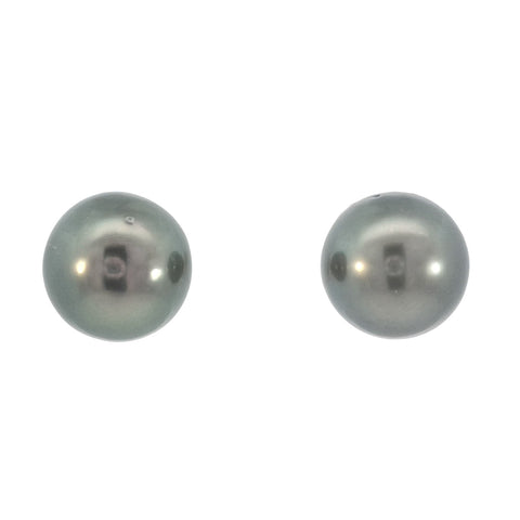 Tahitian Pearl Stud Earrings