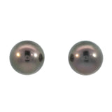 Tahitian Pearl Stud Earrings
