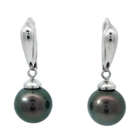 Tahitian Pearl Leverback Earrings