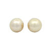 Golden South Sea Pearl Stud Earrings