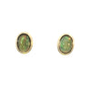 Colored Stone Earring