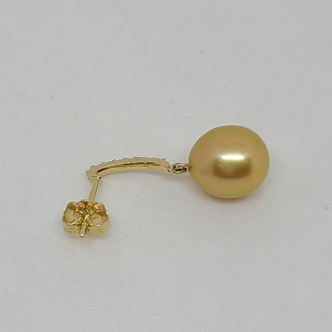 Golden South Sea Pearl Earrings