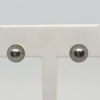Tahitian Pearl Stud Earrings