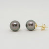 Tahitian Pearl Stud Earrings