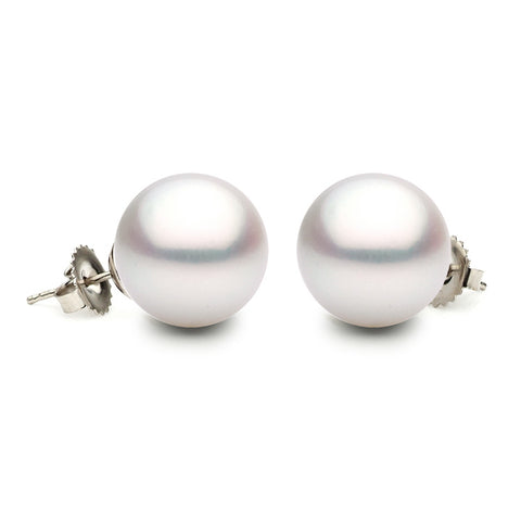 11.5-12mm Range White South Sea Pearl Stud Earrings